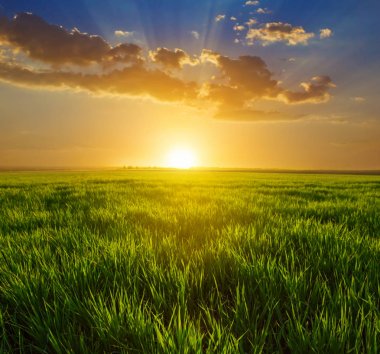 Günbatımında sakin kırsal sahne, yeşil alanlar