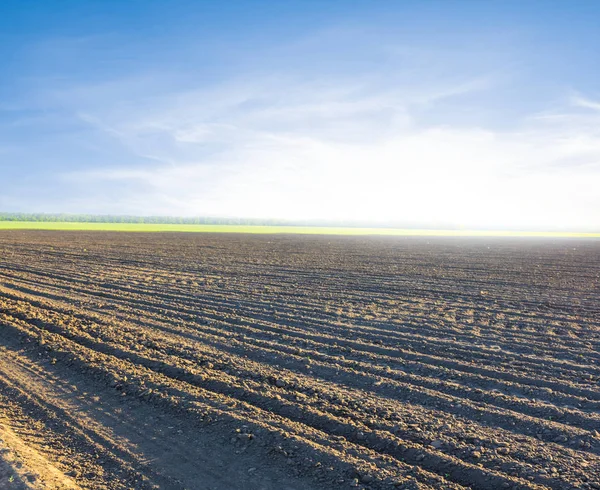 Primavera Aratro Paesaggio Terra — Foto Stock