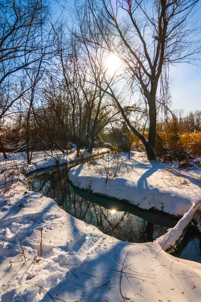 Vinter Insnöad Skog Strålar Från Solen — Stockfoto