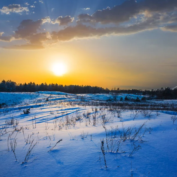 Paysage Hivernal Enneigé Coucher Soleil — Photo