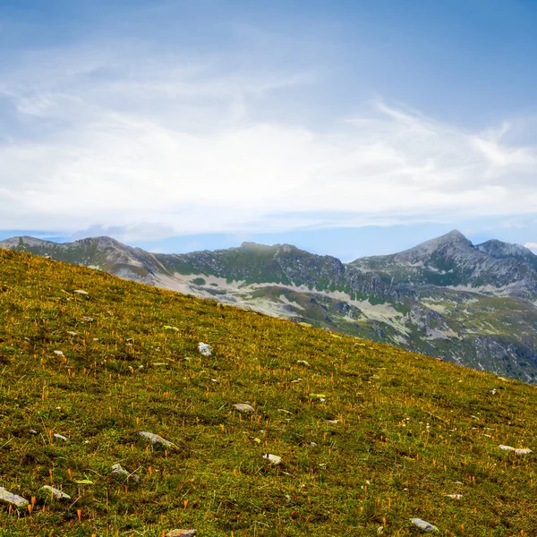 Grüner Berghang Den Bergen — Stockfoto