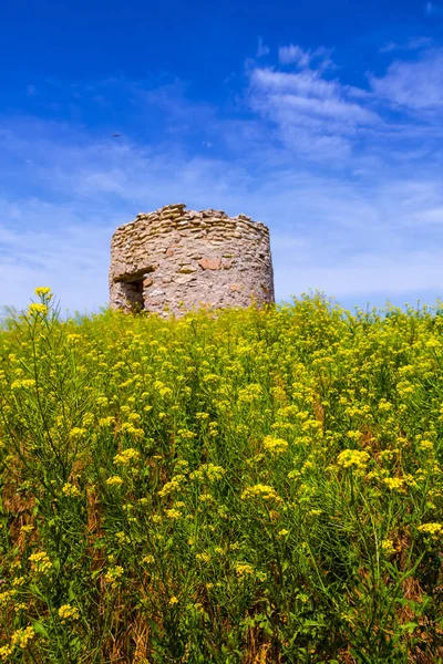 Oude Toren Onder Een Groene Prairies — Stockfoto
