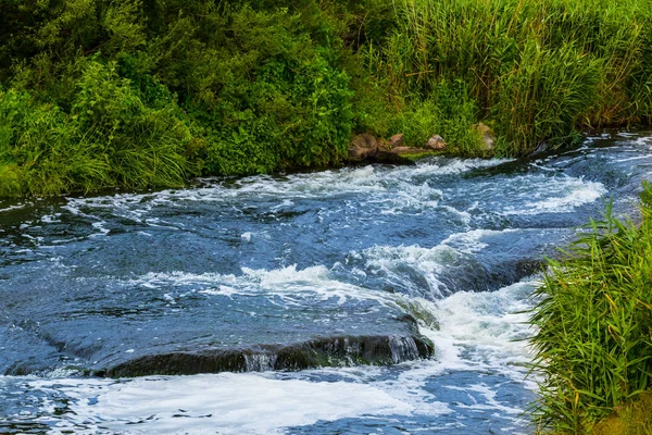 Primer Plano Río Corriendo Través Bosque — Foto de Stock