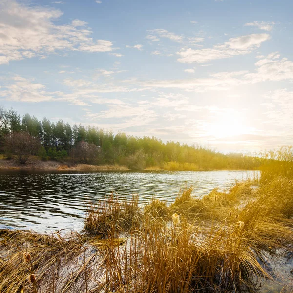 Pędzi Rzeka Scena Spring — Zdjęcie stockowe