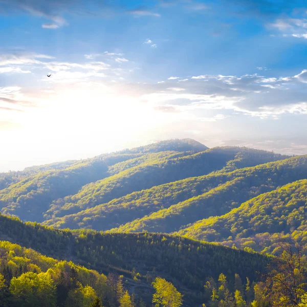 Beautiful Summer Mountain Valley Landscape — Stock Photo, Image