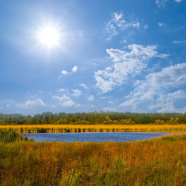 Piccolo Lago Azzurro Tra Una Prateria Sotto Sole Scintillante — Foto Stock