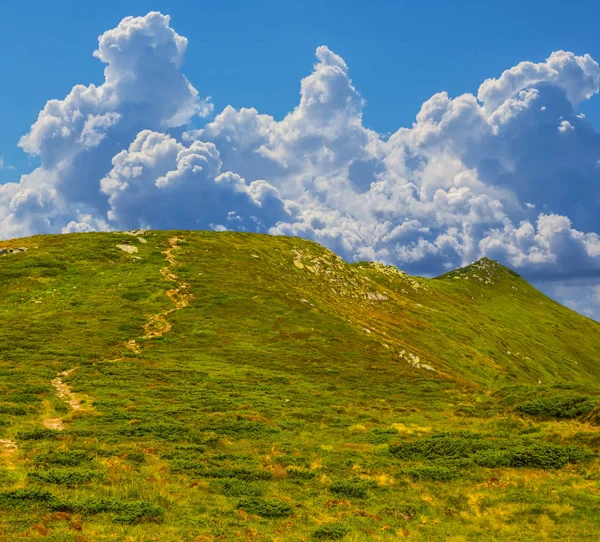 Зеленый Горный Хребет Летняя Сцена — стоковое фото