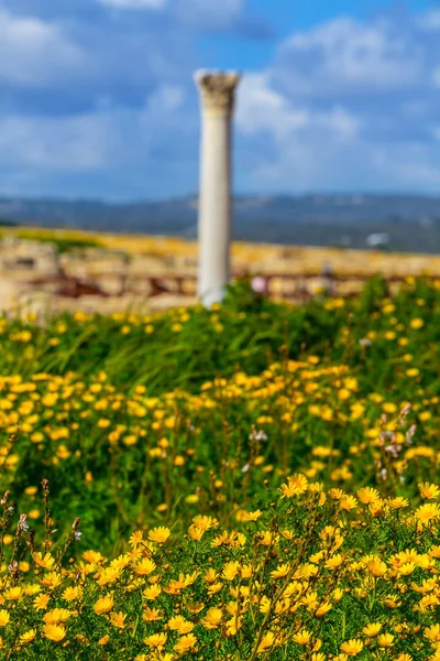 Oude Griekse Polis Ruïneren Cyprus Limassol — Stockfoto