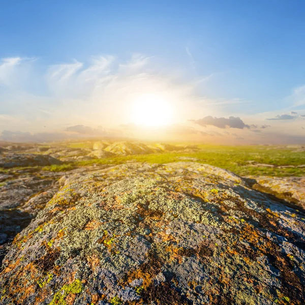 Steniga Fält Solnedgången — Stockfoto