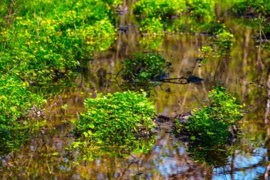 küçük bir su tesislerinde