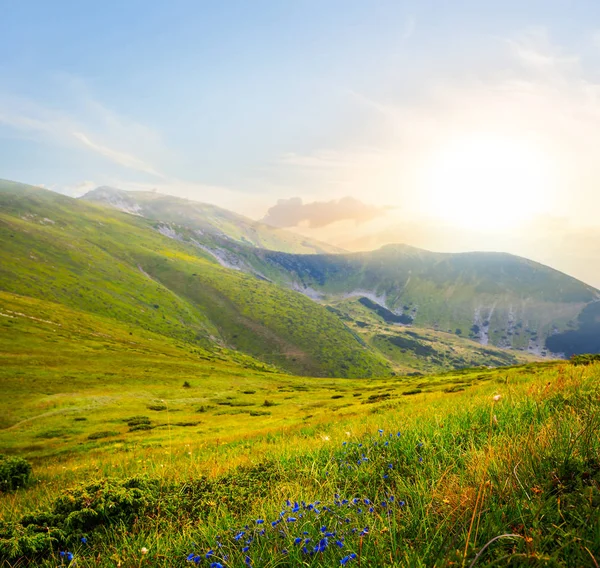 Groene Berg Vallei Scene Bij Zonsondergang — Stockfoto