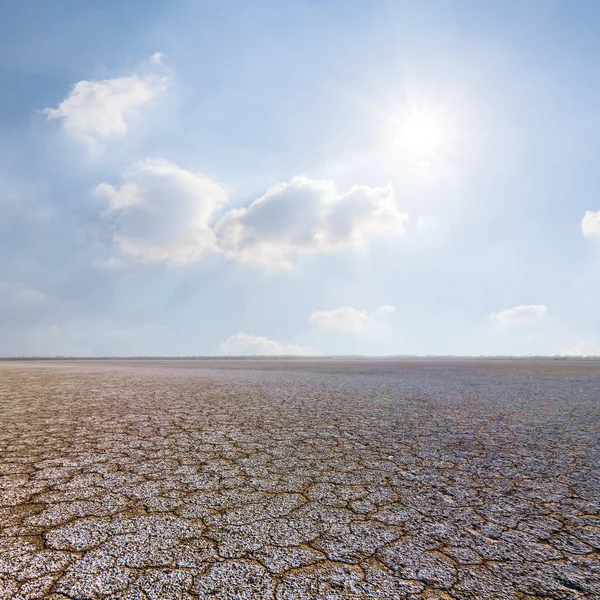 夏の暑い日で生理食塩水の土地をクラック — ストック写真