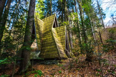 bir ormandaki küçük bir ahşap ev