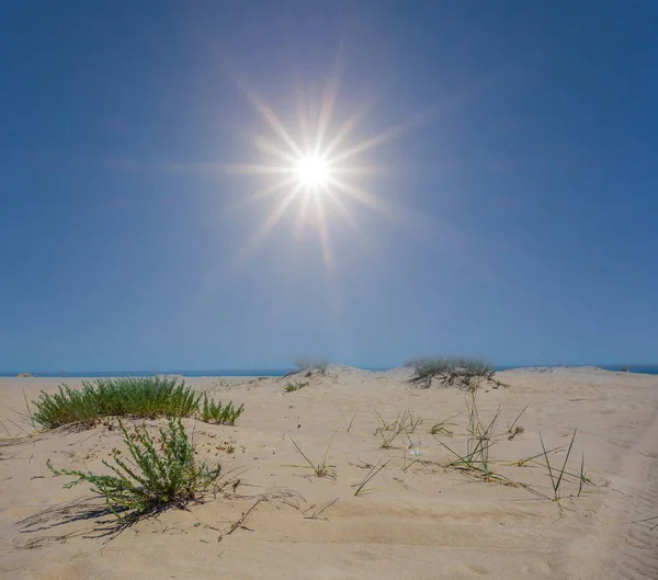 夏のシーン ホット砂漠と輝き太陽 — ストック写真