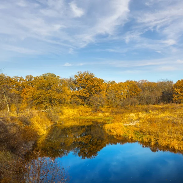 Тихая Река Среди Осеннего Леса — стоковое фото