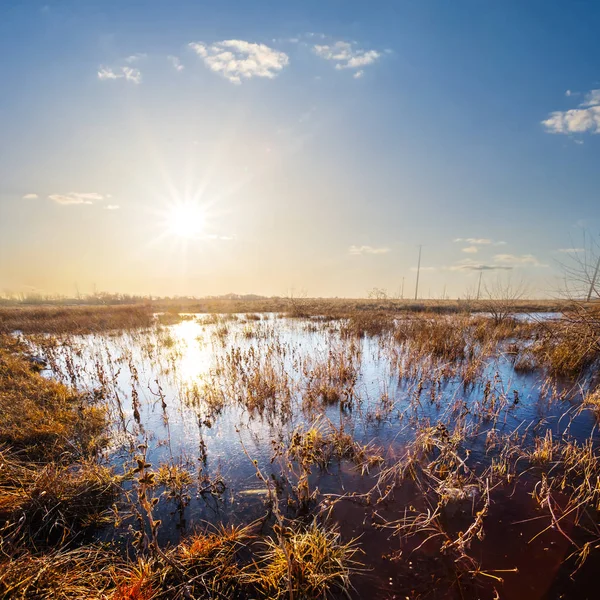 Prairie Inondée Coucher Soleil — Photo