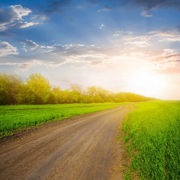 Estrada Terra Entre Campos Verdes Pôr Sol — Fotografia de Stock