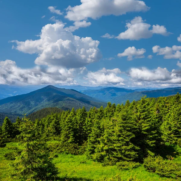 Schöne Grüne Berglandschaft Sommer Bewölkt Ukraine Karpaten — Stockfoto