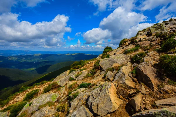 Pohled Svahu Hory Hoverla — Stock fotografie