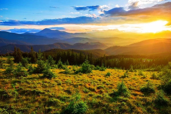 Krásné Horské Údolí Západu Slunce Karpaty Ukrajina — Stock fotografie