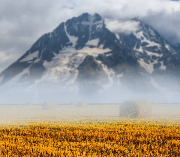 Śniegiem Mount Beound Lato Pole Pszenicy Mgle — Zdjęcie stockowe