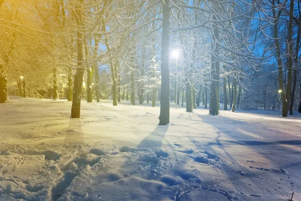 夜に冬の積雪の公園シーン — ストック写真