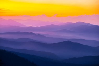 sessiz sahne, bir sis alacakaranlıkta dağ Vadisi