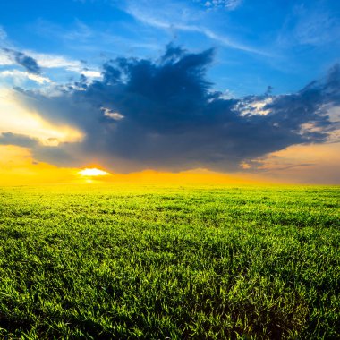 Yeşil kırsal alan manzara dramatik batımında