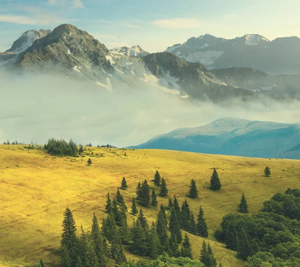 Berglandschaft Felsiger Berg Nebel Umgeben Von Grashügeln — Stockfoto