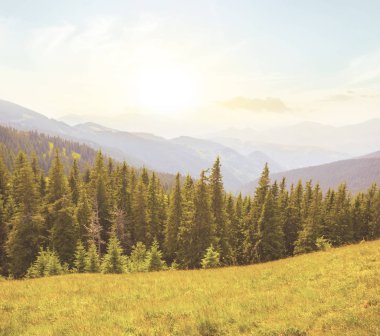 Yeşil dağ Vadisi olay yerinde sabah erken