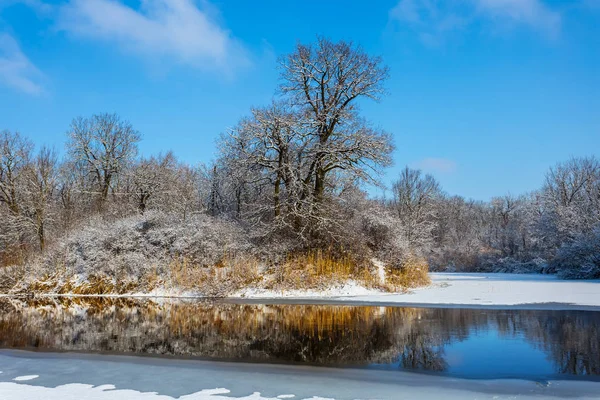 Winter Gefrorener Fluss Fließt Durch Einen Wald — Stockfoto