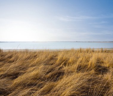 Göl kıyısına yakın çayır
