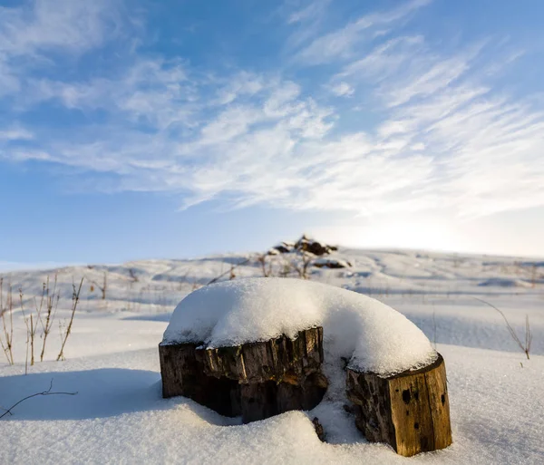 冬の積雪の平野の中で木製の切り株 — ストック写真