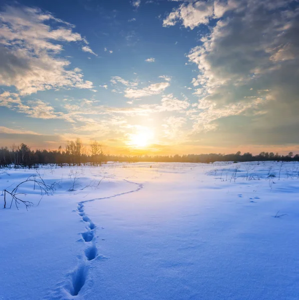 Inverno Pianura Innevata Tramonto — Foto Stock