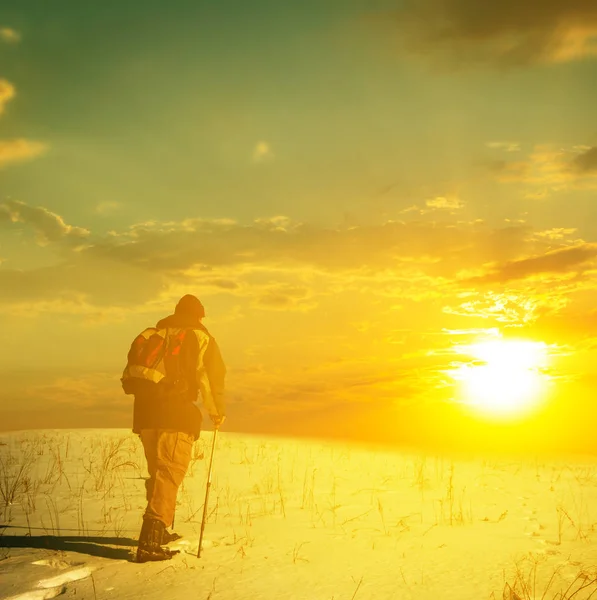 Bir Gün Batımı Bir Kış Grubunu Düz Arasında Yürüyen Adam — Stok fotoğraf