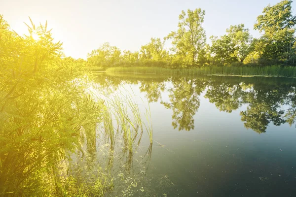 Hermosa Escena Tranquila Del Río Verano Atardecer — Foto de Stock