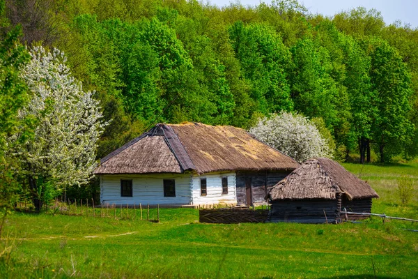 Μικρό Εθνοτικές Αγροτικό Σπίτι Έναν Κήπο — Φωτογραφία Αρχείου