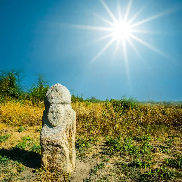 Starego Idola Starożytnych Wśród Prerii Słoneczny Dzień Muzeum Otwarte Pola — Zdjęcie stockowe