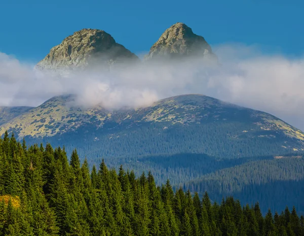 Schönes Grünes Gebirgstal Den Wolken — Stockfoto