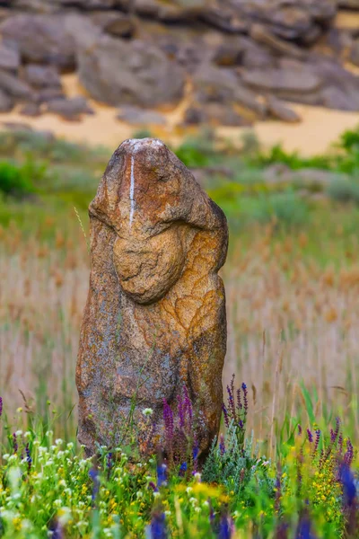 Stary Starożytne Kamienne Idol Pobyt Trawie — Zdjęcie stockowe