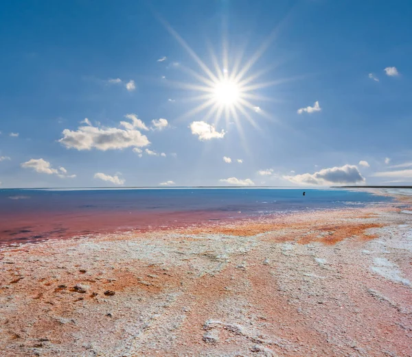 Hot Pink Saline Lake Sparkle Sun — Stock Photo, Image