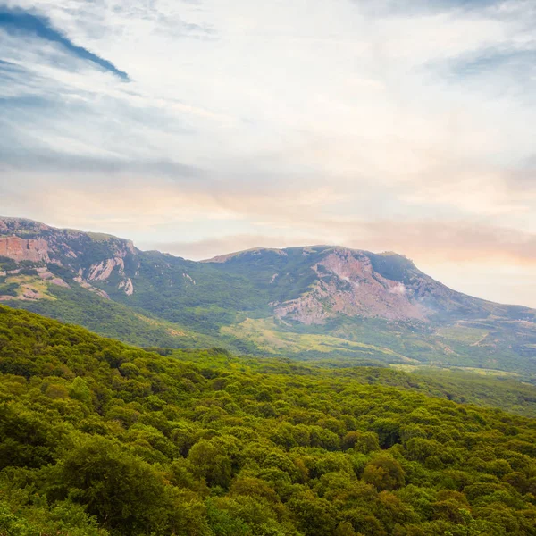 薄い日の緑山の斜面 — ストック写真