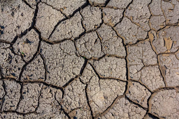 Close Verão Quente Terra Seca Fundo — Fotografia de Stock