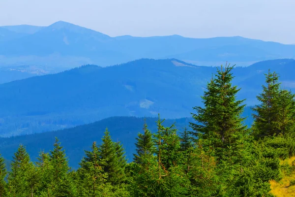 Zelená Hora Lesní Letní Scéna — Stock fotografie