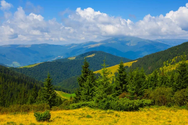 美しい緑の山の谷の夏のシーン — ストック写真