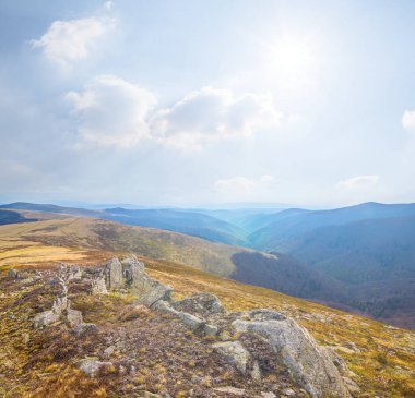 bir kuru ot parlak güneşli bir günde, dağ sırtı