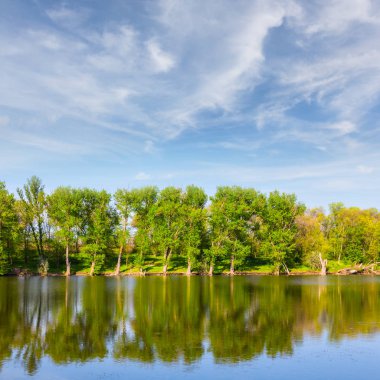 ağaçlar ile sessiz yaz göl kıyısında