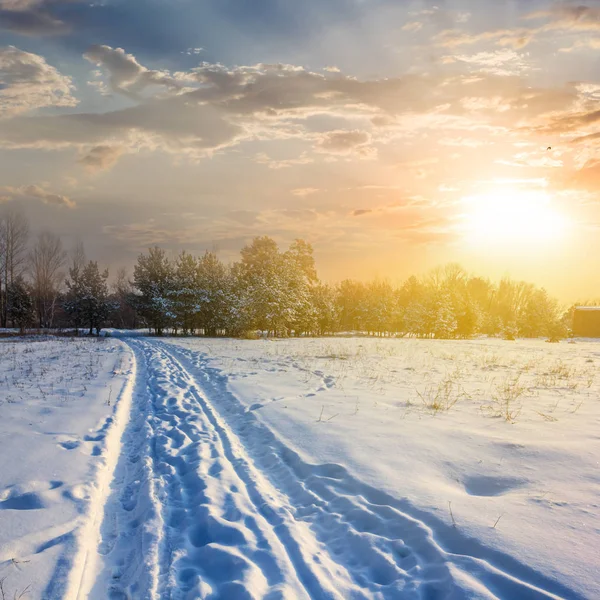 Plaine Enneigée Hiver Coucher Soleil — Photo