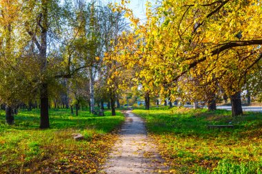 güzel sonbahar park peyzaj