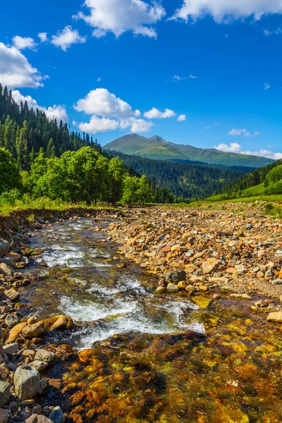 Mountain River Rusar Bland Stenar — Stockfoto